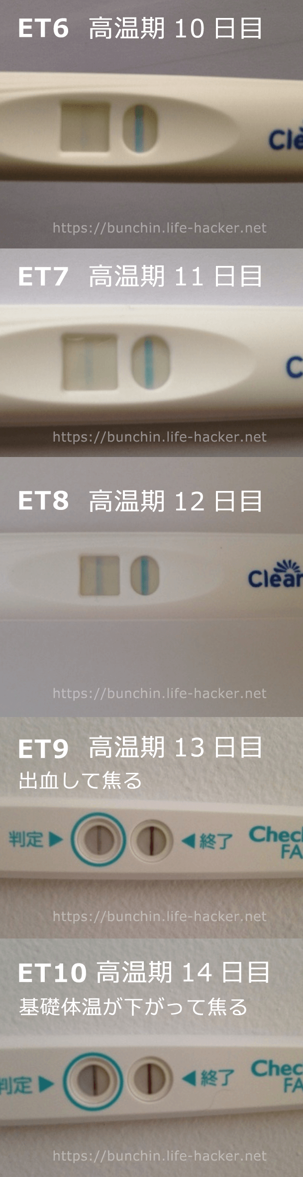 フライング検査はいつくらいから反応するか？妊娠した移植周期の高温期10日目（ET6）からの検査薬